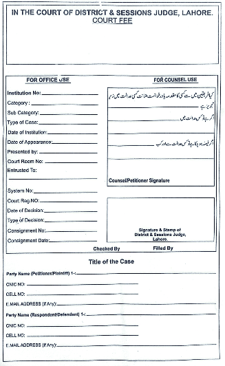Bail Case Information Form