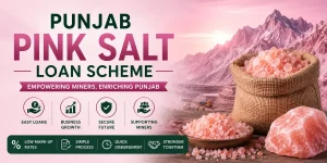 Punjab Pink Salt Loan Scheme